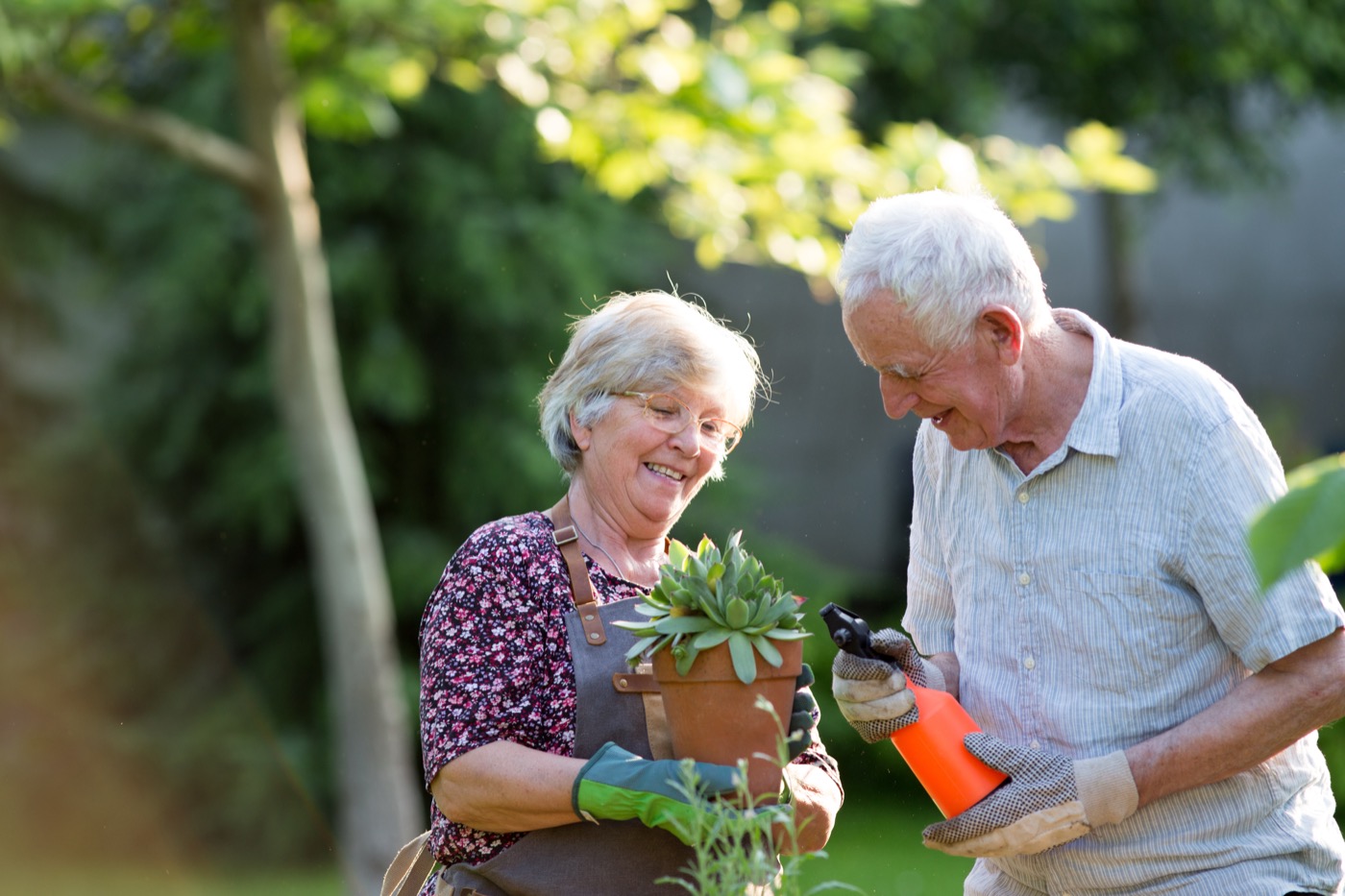 An older couple tending a potted plant together in their garden